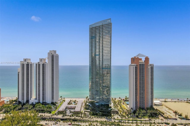 water view featuring a view of the beach