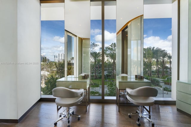 interior space featuring expansive windows and dark hardwood / wood-style floors