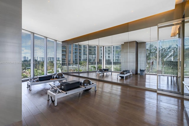 gym with hardwood / wood-style flooring, floor to ceiling windows, and a healthy amount of sunlight