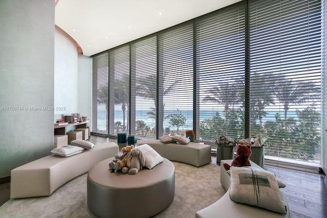 living room with a high ceiling, a wall of windows, and a healthy amount of sunlight