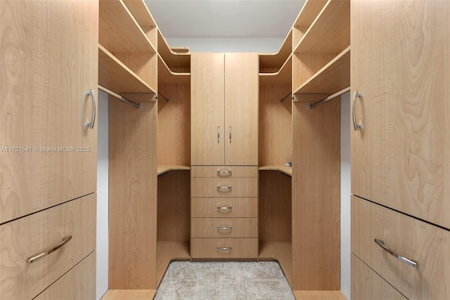 view of walk in closet