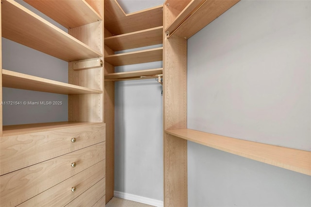 view of spacious closet