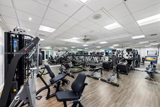 gym with wood-type flooring, a drop ceiling, and ceiling fan