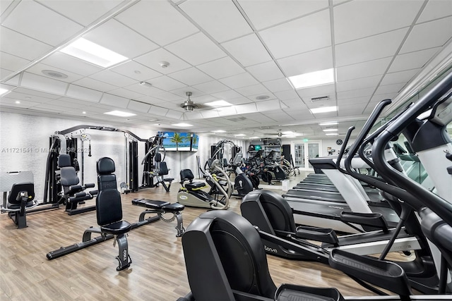 exercise room featuring a drop ceiling, ceiling fan, and light hardwood / wood-style floors