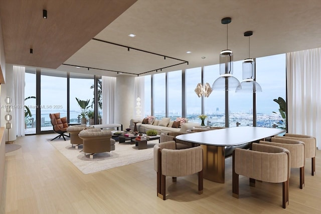 dining area featuring light hardwood / wood-style flooring, floor to ceiling windows, and plenty of natural light