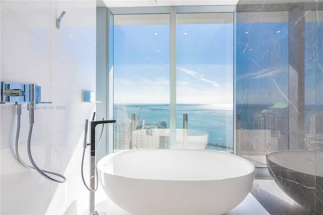 bathroom with a bath and a water view