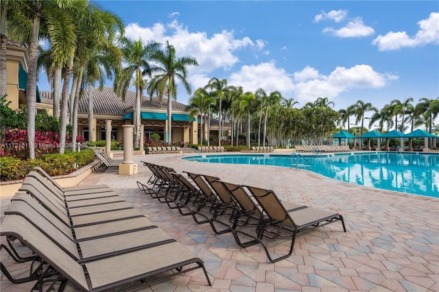 view of swimming pool with a patio area