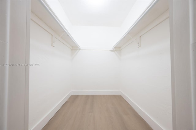 spacious closet with wood-type flooring