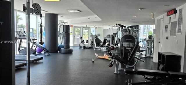 workout area featuring plenty of natural light