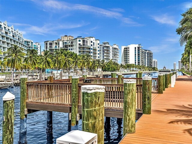 dock area with a water view