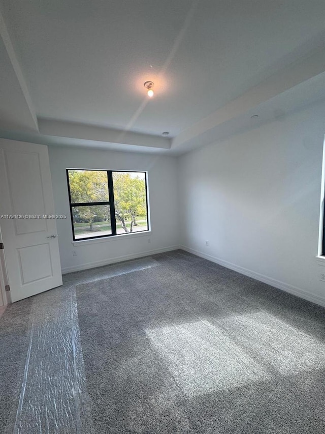 spare room featuring a raised ceiling