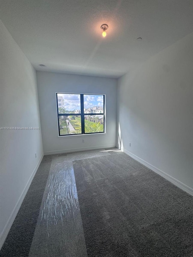 unfurnished room with carpet flooring