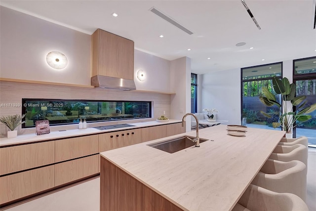 kitchen featuring modern cabinets, stovetop, under cabinet range hood, light brown cabinets, and a sink