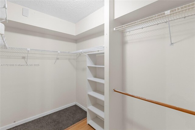 bathroom with vanity, hardwood / wood-style flooring, a shower with door, and toilet