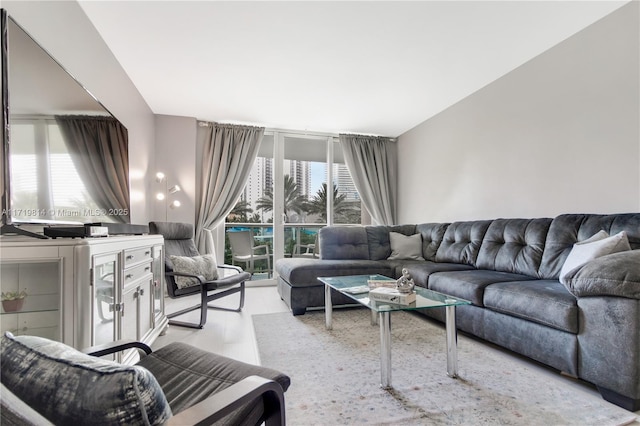 living room with plenty of natural light