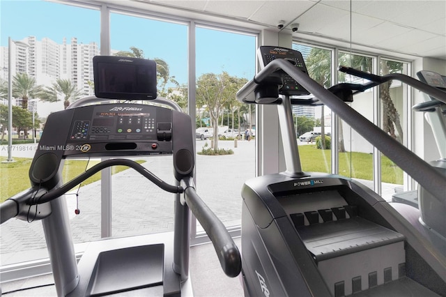 workout area featuring a paneled ceiling, plenty of natural light, and expansive windows