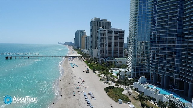 water view featuring a view of the beach