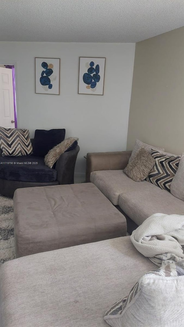 living room with a textured ceiling