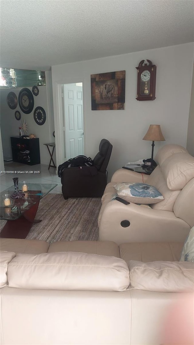 living room featuring a textured ceiling