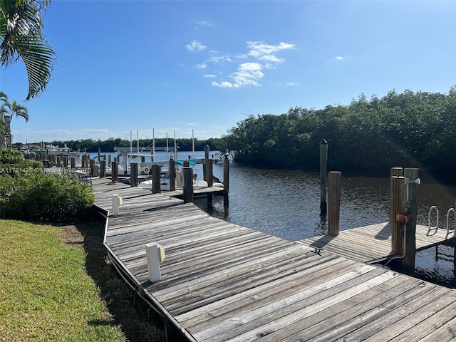 dock area with a water view