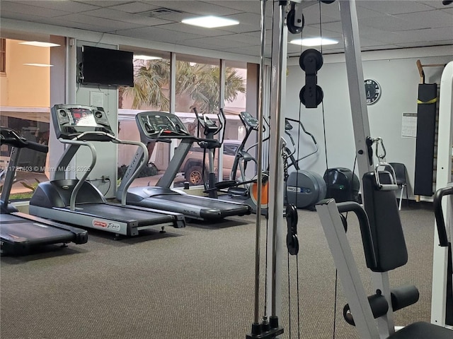 workout area with carpet flooring and a drop ceiling