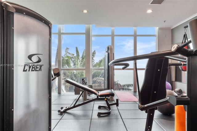 gym featuring a wealth of natural light and expansive windows