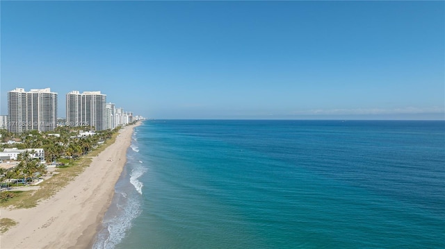 view of water feature featuring a view of the beach