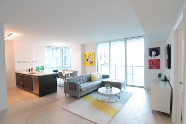 living room featuring floor to ceiling windows and a healthy amount of sunlight