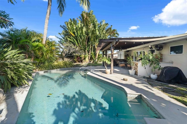 pool featuring area for grilling and a patio