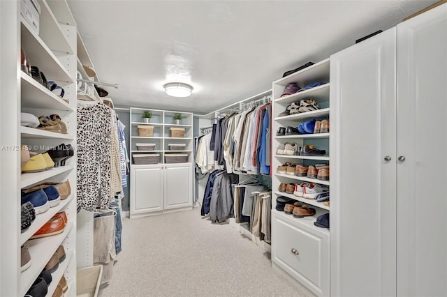 view of spacious closet