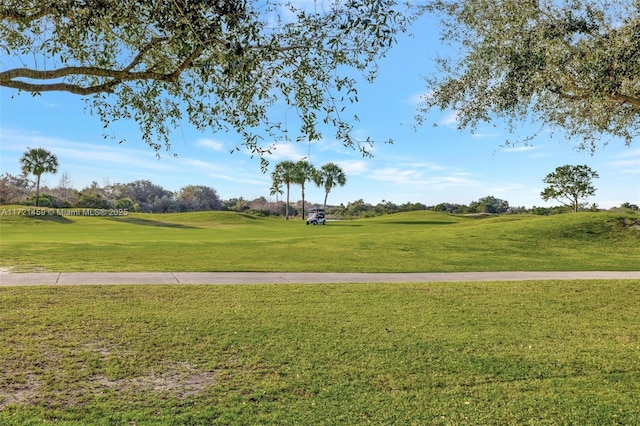 view of home's community with a lawn