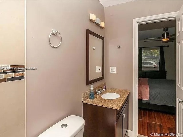 bathroom with vanity, wood-type flooring, and toilet