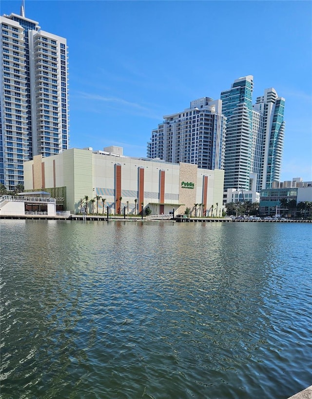 property view of water featuring a dock