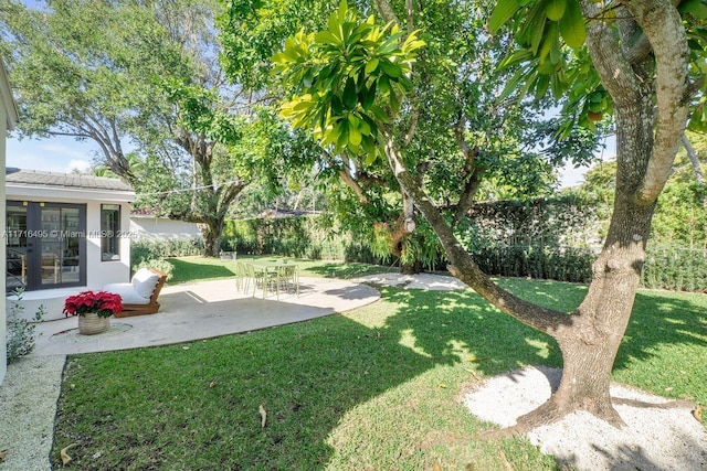 view of yard with a patio area