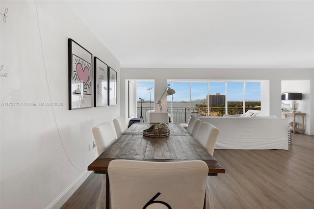 dining space featuring hardwood / wood-style floors