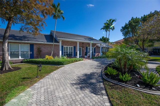 ranch-style home with a front lawn