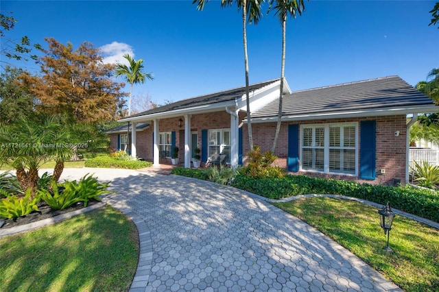 ranch-style house featuring a front yard