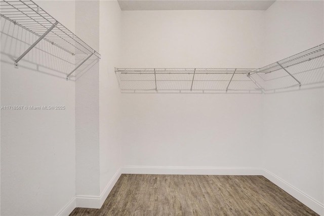 spacious closet featuring hardwood / wood-style floors