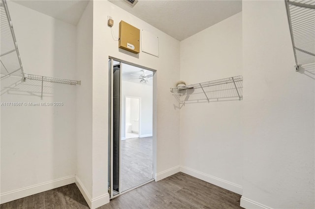 walk in closet featuring ceiling fan and dark hardwood / wood-style flooring