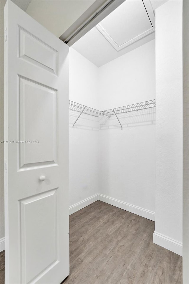 walk in closet with hardwood / wood-style flooring