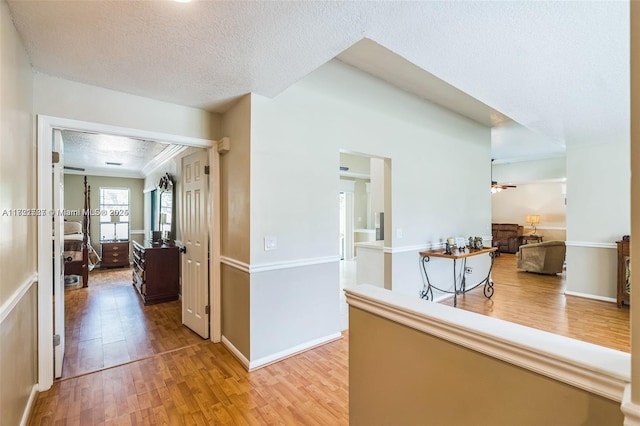 hall featuring wood-type flooring, a textured ceiling, and crown molding