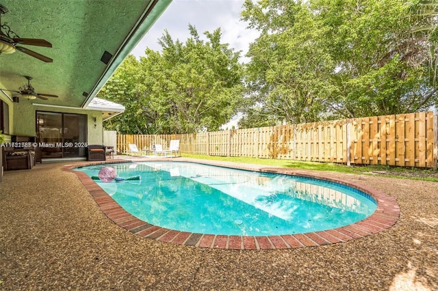 view of swimming pool featuring a patio and ceiling fan