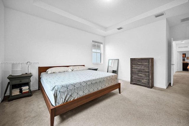 carpeted bedroom with a tray ceiling