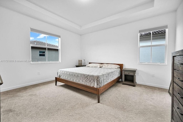 carpeted bedroom with a raised ceiling