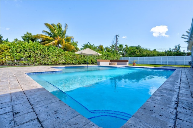 view of swimming pool featuring a patio area