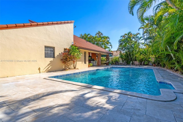 view of pool with a patio area