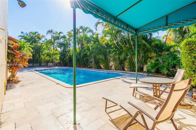 view of pool featuring a patio area