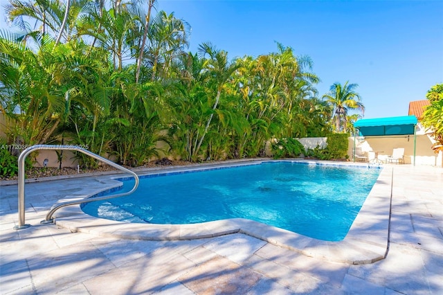 view of swimming pool with a patio area