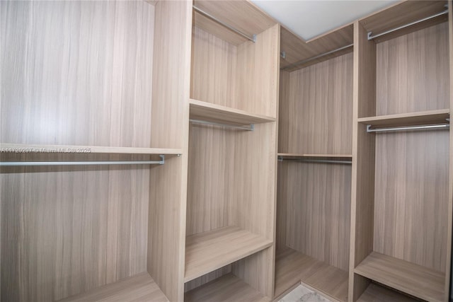 view of spacious closet