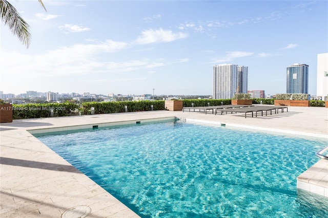 view of swimming pool featuring a patio